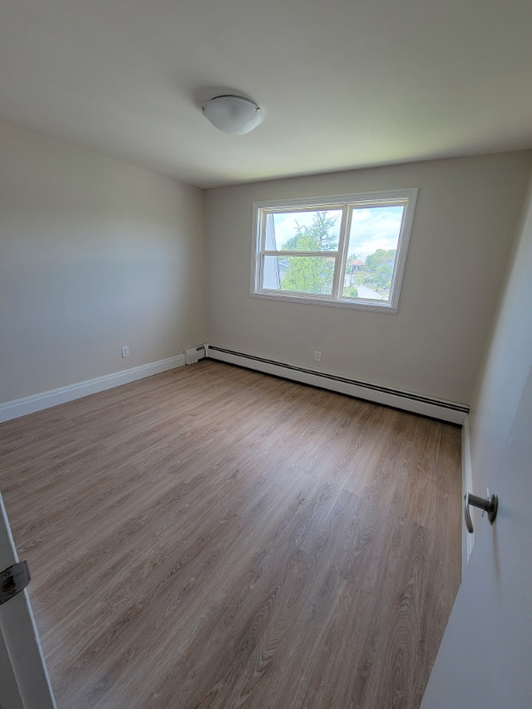 Available July 1st - One Bedroom Apartment in Dartmouth in Long Term Rentals in Dartmouth - Image 2