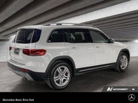 DP1 - Premium Package - Smartphone Integration - Apple CarPlay - Google Android Auto - Blind Spot As... (image 4)