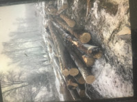 Cedar  posts and logs