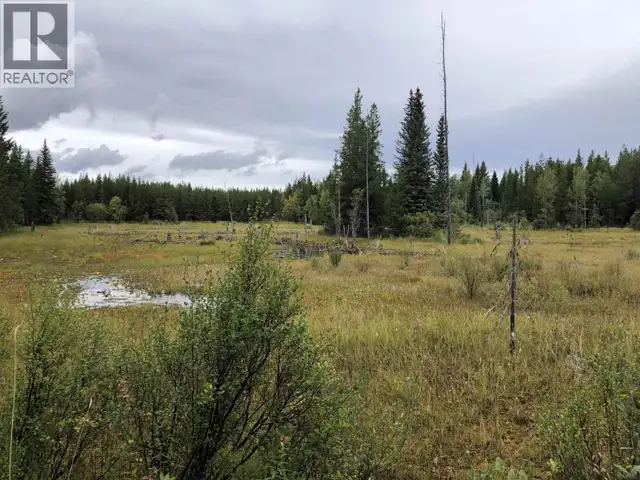 DL 4260 E PALLING ROAD Burns Lake, British Columbia in Land for Sale in Burns Lake - Image 10