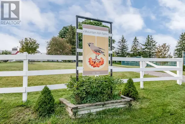 828350 MULMUR NOTTAWASAGA TOWNLINE Mulmur, Ontario in Land for Sale in Barrie - Image 6