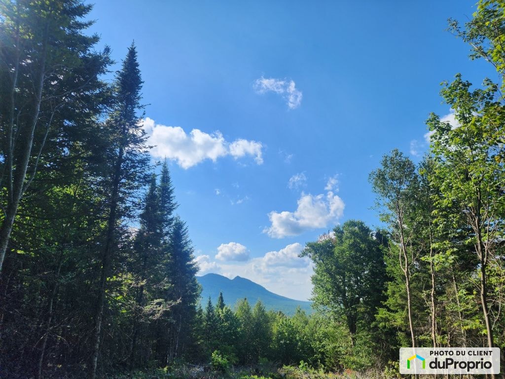 $499,000 - Price taxes not included - Arable Land for sale — photo 2