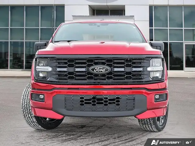2025 Ford F-150 LOBO in Cars & Trucks in Edmonton - Image 3
