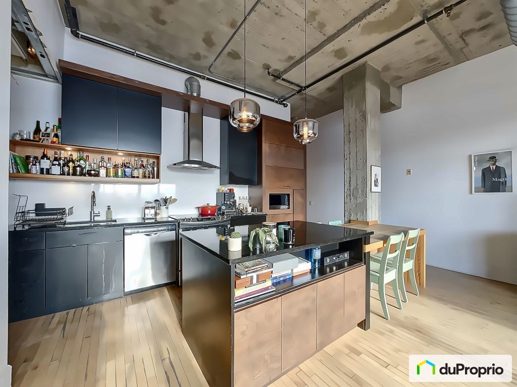$495,000 - Condominium for sale in Le Plateau-Mont-Royal — photo 2