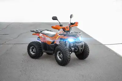 Limited Time Offer! GIO ATV's sale UP to $250 Off Website Collection https://atvedmonton.com/collect...