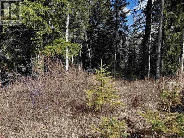 LOT 7 PARKER SUBDIVISION ROAD Fraser Lake, British Columbia in Land for Sale in Burns Lake - Image 6