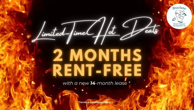 1 Bedroom Apartment for Rent - All Apartment Utilities Included in Long Term Rentals in London - Image 2