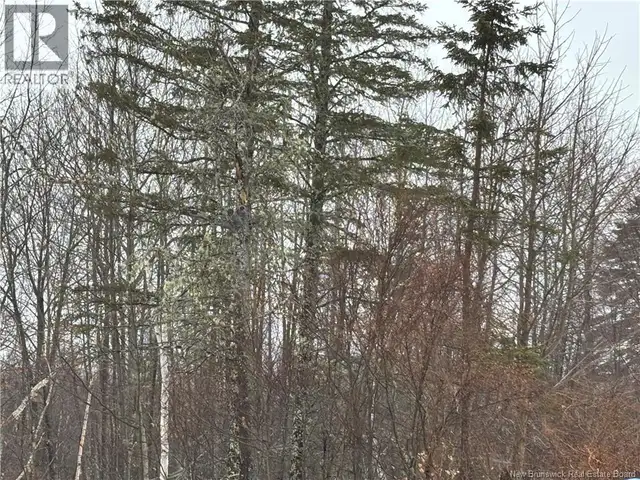 0 Route 127 Bayside, New Brunswick in Land for Sale in Saint John - Image 30