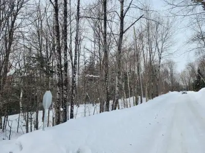 Beautiful wooded lot located in a peaceful and sought-after area. Enjoy a private setting surrounded...