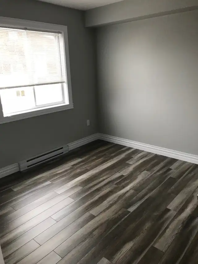 Beautiful 1 BDRM uptown-heat pump&dishwasher- Free rent! in Long Term Rentals in Fredericton - Image 5