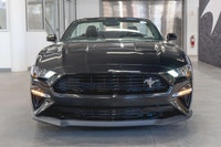 Ford Mustang Coupe GT Premium CS (California Special) 2019: - Extérieur noir SHADOW, intérieur en cu... (image 6)