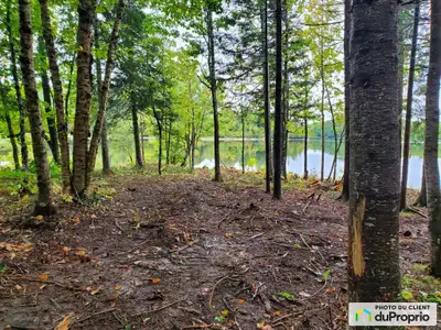 Terrain boisé, bâtissable avec accès direct au bord de la rivière du Lièvre / lac Dudley (plan d'eau...