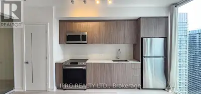 3806 - 357 KING STREET Toronto (Waterfront Communities), Ontario