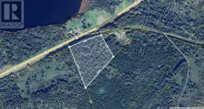 Discover the potential of this 6-acre wooded parcel located directly on Highway 4 in Lynche River, N...