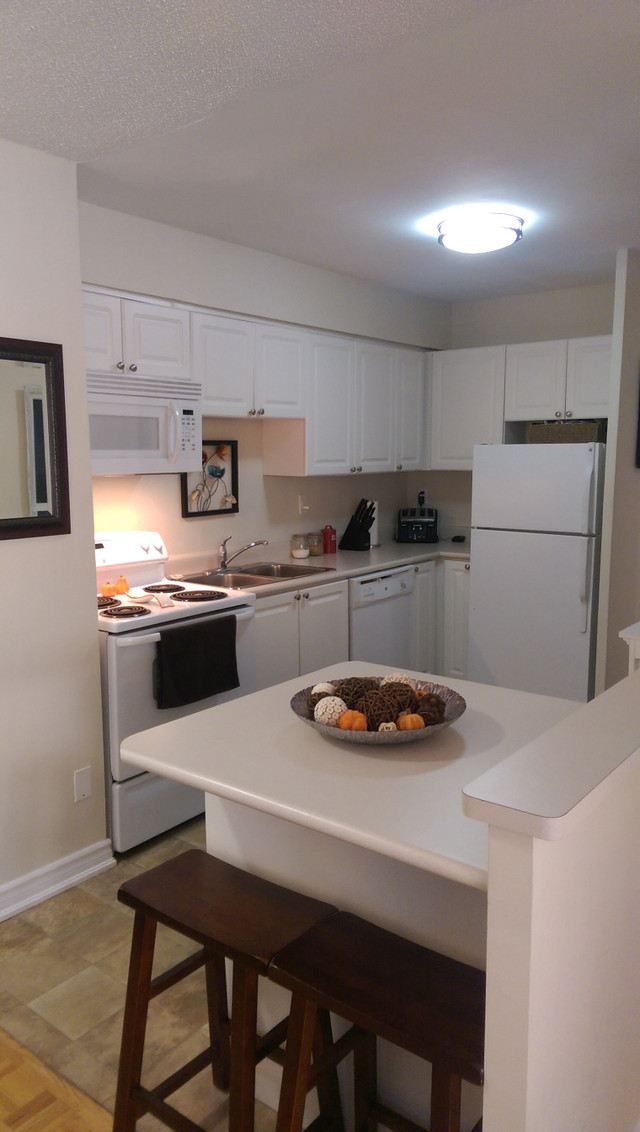 Great 2 Bedroom Apartment for Rent Minutes to Downtown Cambridge in Long Term Rentals in Cambridge - Image 3