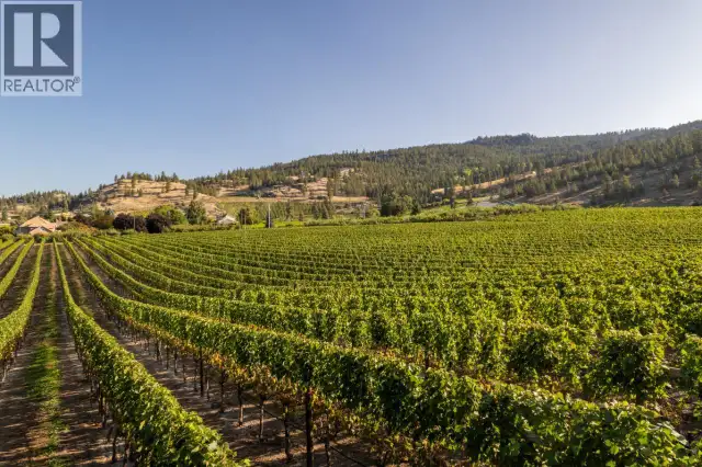 1116 Naramata Road Penticton, British Columbia in Land for Sale in Penticton - Image 19