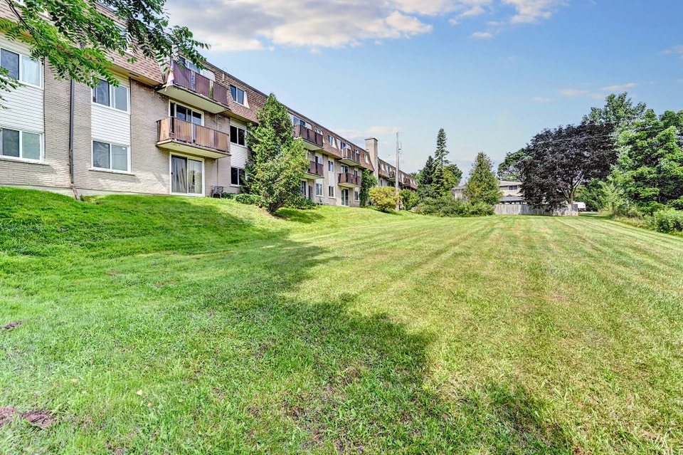 Forfar Street Apartments - 1 Bedroom, 1 Bath B Apartment for Ren 3