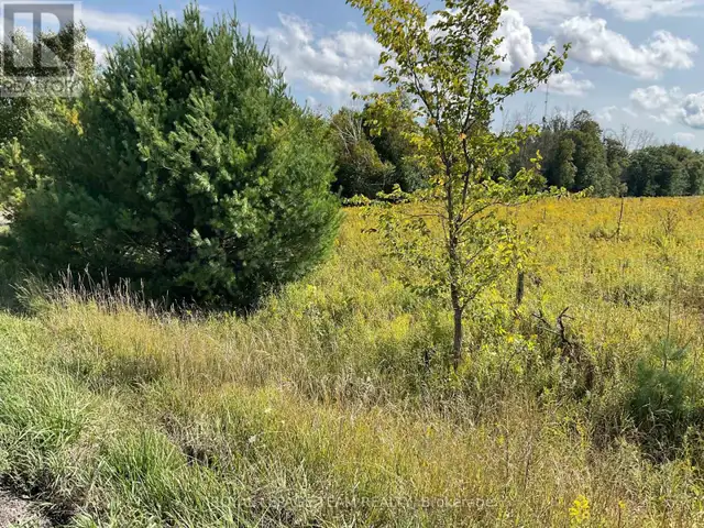 1211 BELLAMY ROAD Mississippi Mills, Ontario in Land for Sale in Ottawa - Image 4