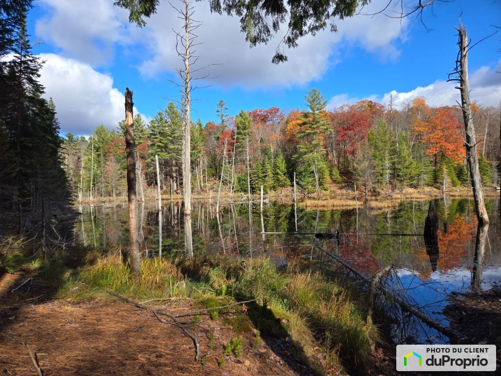 $115,000 - Residential Lot for sale in Gore — photo 1