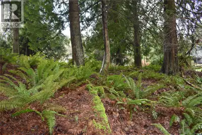 This exceptional offering presents a rare opportunity to acquire two adjoining ¼-acre lots, combined...