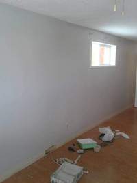Professional painter for hire