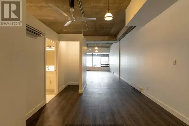 Rare Find! Spacious, stunning renovated LOFT in Long Term Rentals in Windsor Region - Image 5