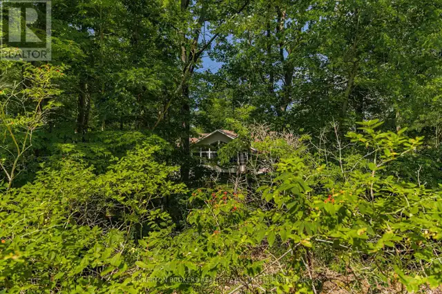 790 KING STREET W Gananoque, Ontario in Land for Sale in Kingston - Image 20