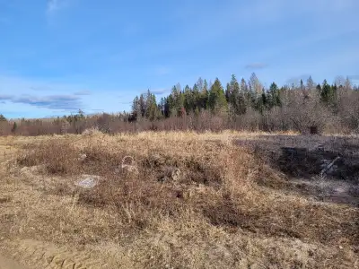 100 ACRES. DRIVEWAY. APPROXIMATELY 20 ACRES CLEARED FOR BUILDING SITE. HYDRO AT PROPERTY LINE. MIXED...