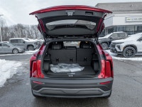 (up to 455km On Full Charge )Midnight Edition- Black Roof | HD Surround Vision | Panoramic Sunroof |... (image 8)