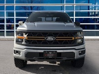 One Local Owner, Clean CarFax, Carbonized Gray Metallic 2025 Ford F-150 Tremor 4X4, 10-Speed Automat... (image 8)