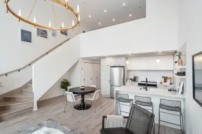new/nouveau apartment logement locatif-3.5, 3 1/2, 1-bedroom/chambre, Outremont, Campus MIL/Mile-End...