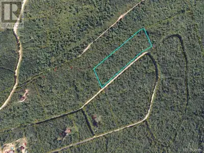 Private 7.46 acre lot for sale on Maxtan Drive in Penobsquis. Perfect for building your dream home....