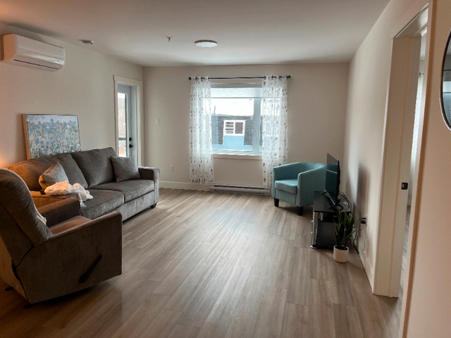 620 Forest Hill Free Month Move in ready in Long Term Rentals in Fredericton - Image 3