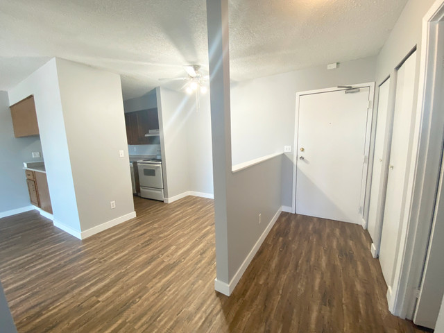 Marquis Centre - 2 Bedroom 1 Bath Apartment for Rent in Long Term Rentals in Fort St. John - Image 2