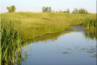 Kleskun Springs: A Water Paradise in Alberta! - 4 Titles  gp