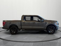 The Ford F-150 continues to set the standard for full-size pickups, and this 2021 XLT Sport is an ex... (image 6)