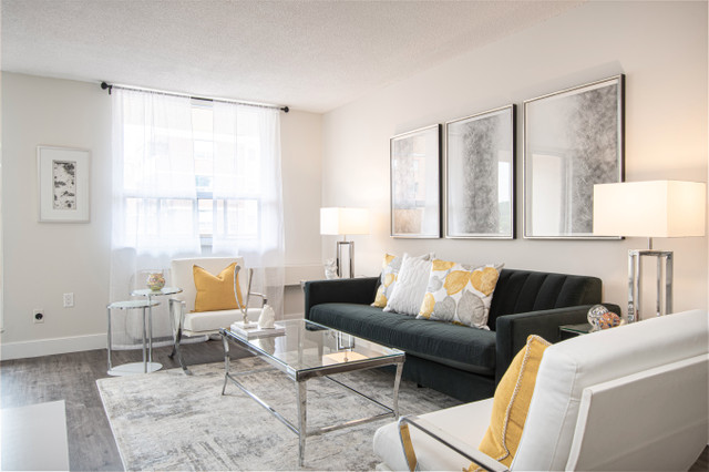 Villa Marie 2 - 1 Bedroom Apartment for Rent in Long Term Rentals in Hamilton - Image 3