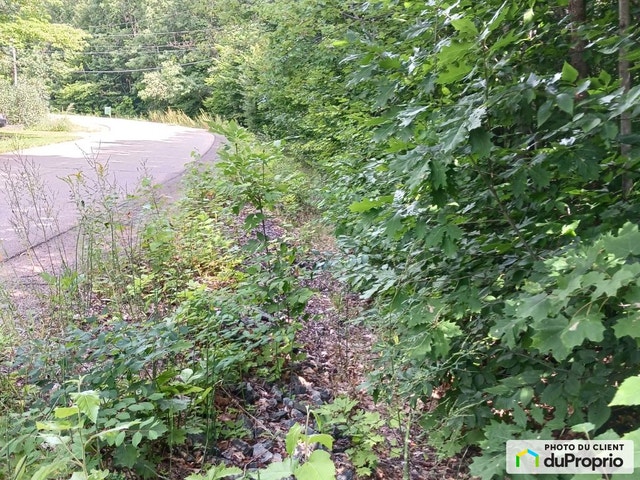 $150,000 - Residential Lot for sale in Ste-Julienne — photo 3