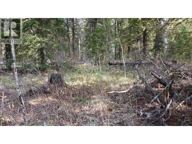 LOT B BRYCE ROAD Forest Grove, British Columbia in Land for Sale in 100 Mile House - Image 22