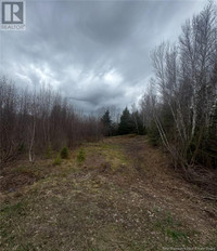 2019 Route 121 Norton, New Brunswick Saint John New Brunswick Preview