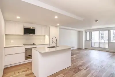fully renovated one bedroom apartment near McGill - ID 3563, View more