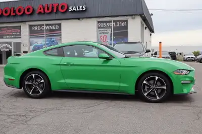 NO ACCIDENT Unleash the thrill of the open road with the 2019 Mustang Ecoboost Coupe. With its bold...