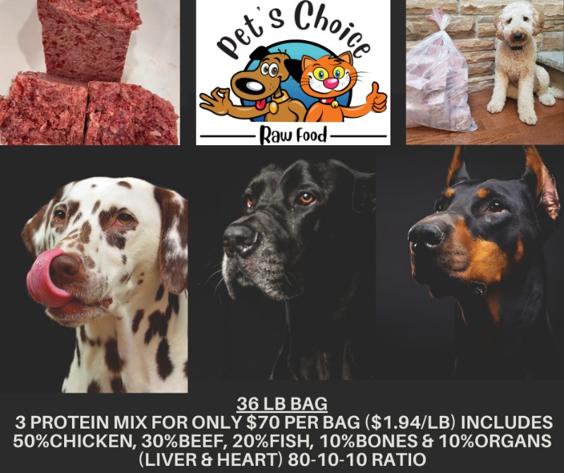 Raw dog and cat food Animal & Pet Services Oshawa / Durham Region Kijiji