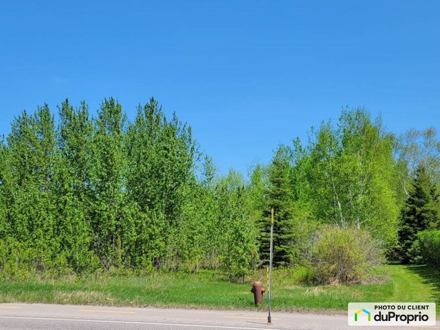 $50,000 - Residential Lot for sale in St-Felicien — photo 1