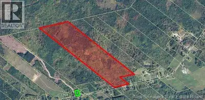 An exceptional opportunity to own 97 acres of beautiful woodland in the peaceful rural community of...