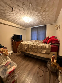 Central Halifax- Lrg 1 bedroom- Laundry, parking