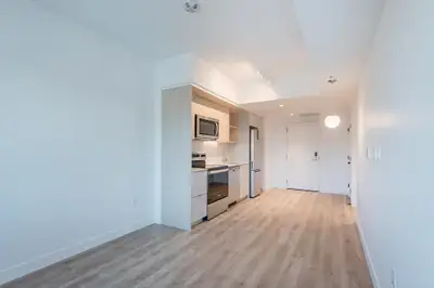 Beautiful 1 bedroom appartement in Old Port- 1650$
