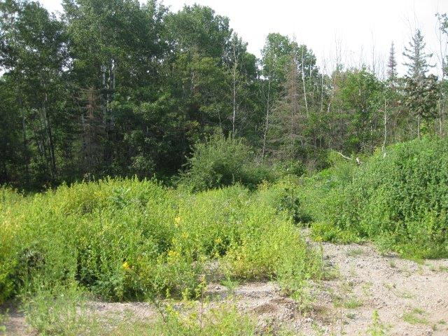 Vacant Waterfront Land in Fort Frances in Land for Sale in Kenora - Image 3