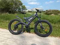 1000W mountain ebike 47km/h Free Shipping 1 Yr Warranty