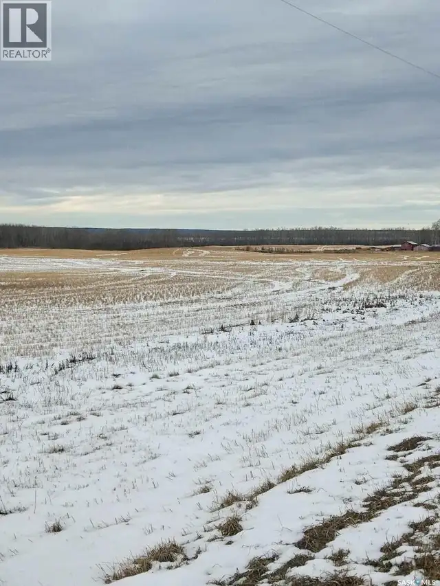 NE-26-37-05-W2 Endeavour, Saskatchewan in Land for Sale in Saskatoon - Image 3